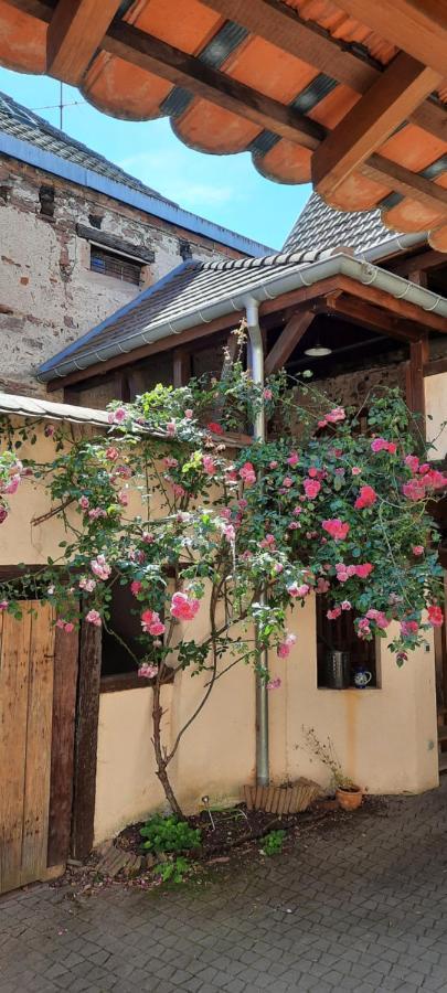 Apartmán La Charpenterie Bergheim Exteriér fotografie